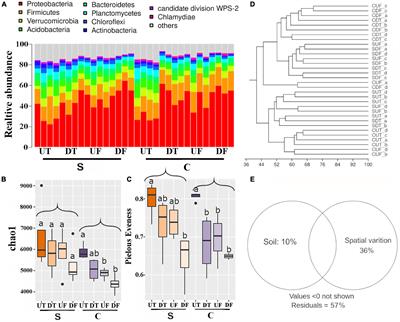 Spatial Distribution of the Pepper Blight (Phytophthora capsici) Suppressive Microbiome in the Rhizosphere